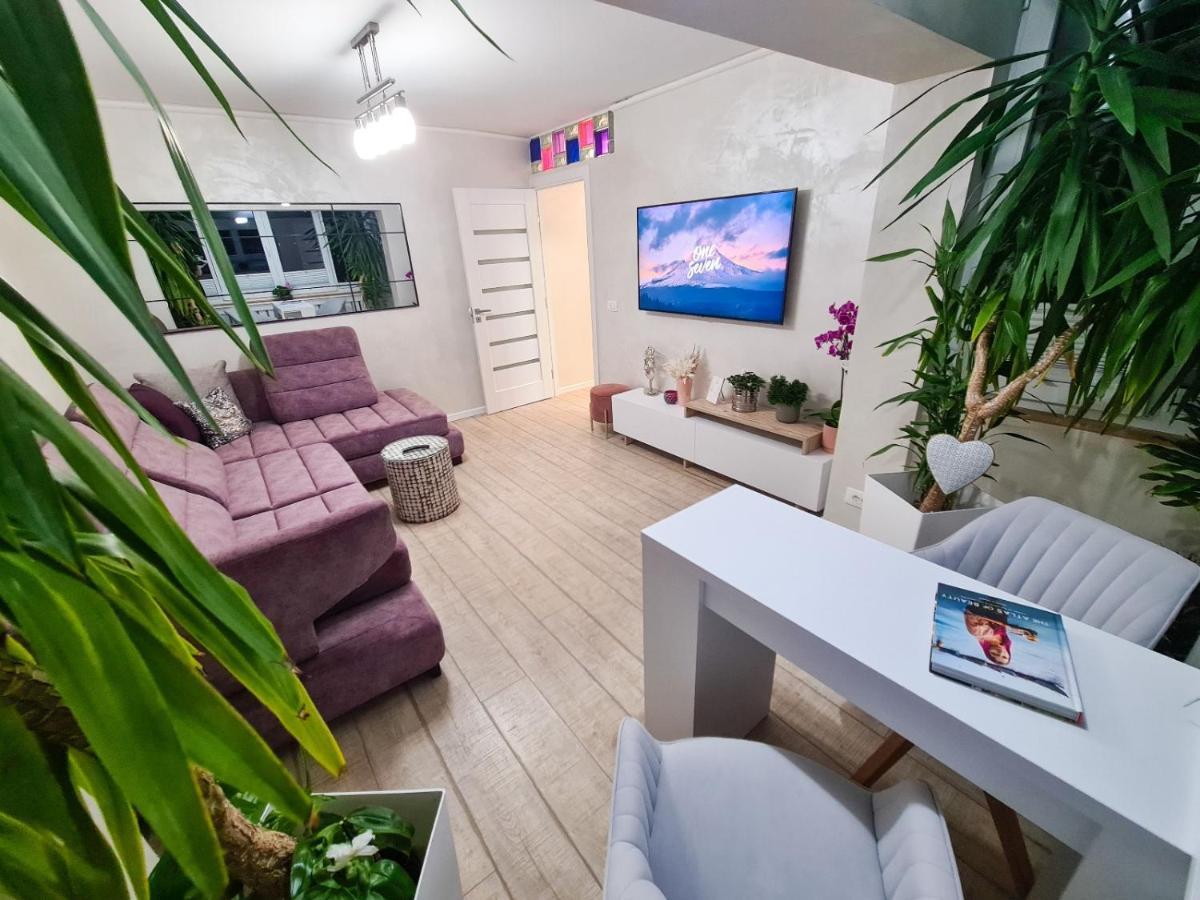 Elisa'S Place Făgăraş 외부 사진
