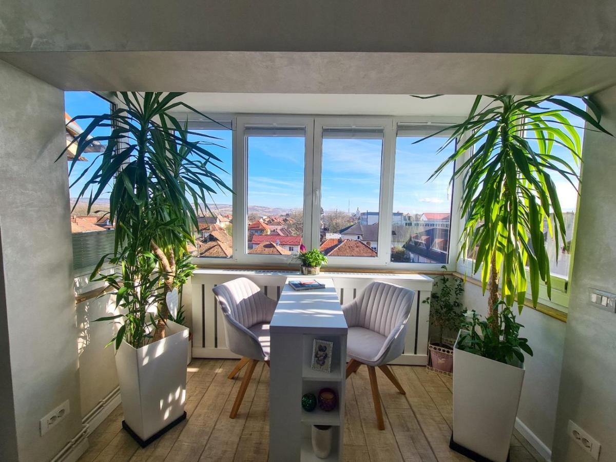 Elisa'S Place Făgăraş 외부 사진