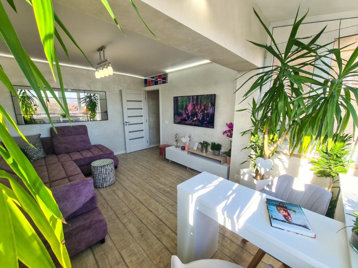 Elisa'S Place Făgăraş 외부 사진